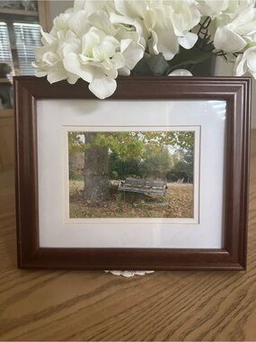 Beautiful Matted Wood Finish Brown Framed Wall Art - Tree w/ Old Swing. 9.5x11.5